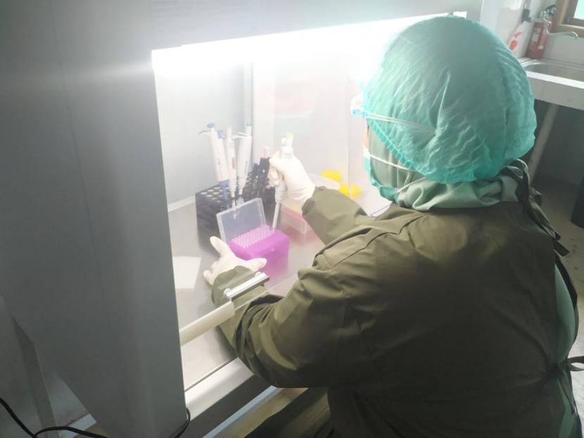 Petugas melakukan pengujian sampel swab test di Laboratorium PCR. Ilustrasi
