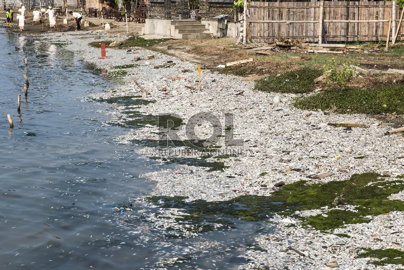 Petugas membersihkan bangkai ikan mati yang terapung di sepanjang Pantai Ancol, Jakarta Utara, Senin (30/11).ANTARA FOTO/M Agung Rajasa