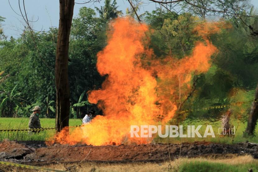 Petugas memeriksa areal sekitar semburan api dari gas liar di Desa Sukaperna, Tukdana, Indramayu, Jawa Barat, Sabtu (3/4/2021). Semburan gas liar yang terbakar itu terjadi sejak lima hari lalu dan diduga bersumber dari sumur peninggalan zaman Belanda yang sudah tidak digunakan.