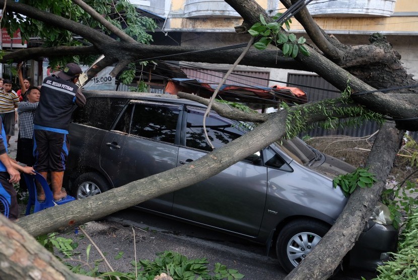 Petugas memotong batang pohon Angsana (Pterocarpus indicus) yang tumbang menimpa mobil, di Jalan Sekip, Medan, Sumatera Utara, Selasa (23/7/2019). 