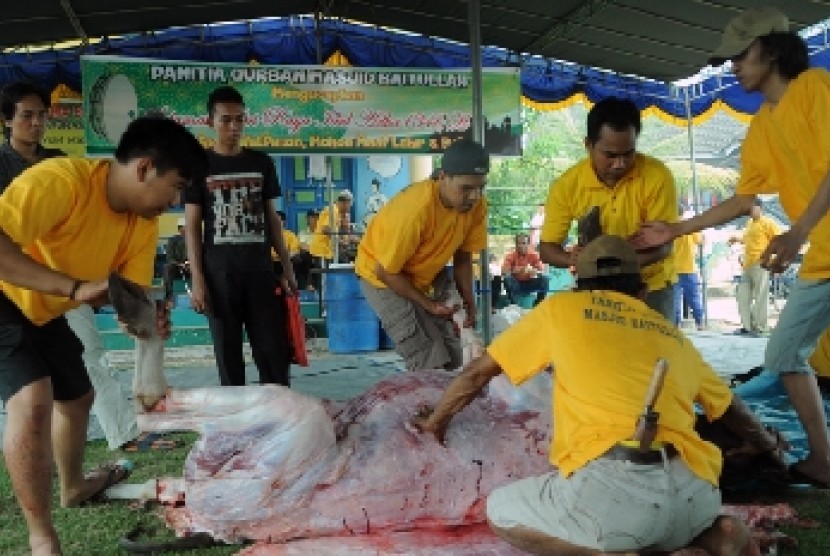 Petugas memotong sapi kurban di Masjid Besar Baitullah di Kelurahan Bukit Lama, Palembang, Kamis (24/9).