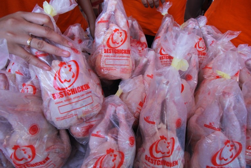 Petugas menata ayam boiler murah yang dijual saat operasi pasar mandiri di Surabaya, Jawa Timur, Sabtu (28/7).