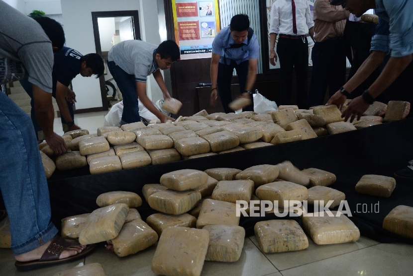  Petugas menata barang bukti ganja saat gelar kasus distribusi narkoba jenis ganja di Direktorat Tindak Pidana Narkoba Mabes Polri, Jakarta, Selasa (24/5). (Republika/Yasin Habibi)