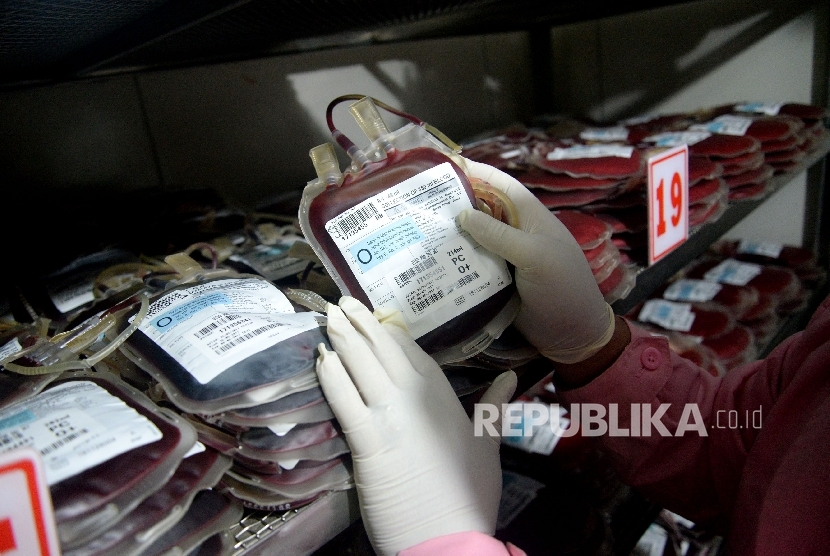  Petugas menata stok darah di ruanganan penyimpanan darah PMI. Ilustrasi
