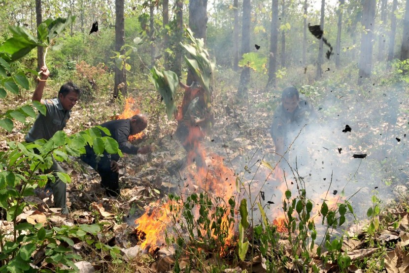 Petugas mencoba memadamkan api ketika terjadi kebakaran hutan jati di Desa Balapulang, Kabupaten Tegal, Jawa Tengah, Rabu (29/7). 