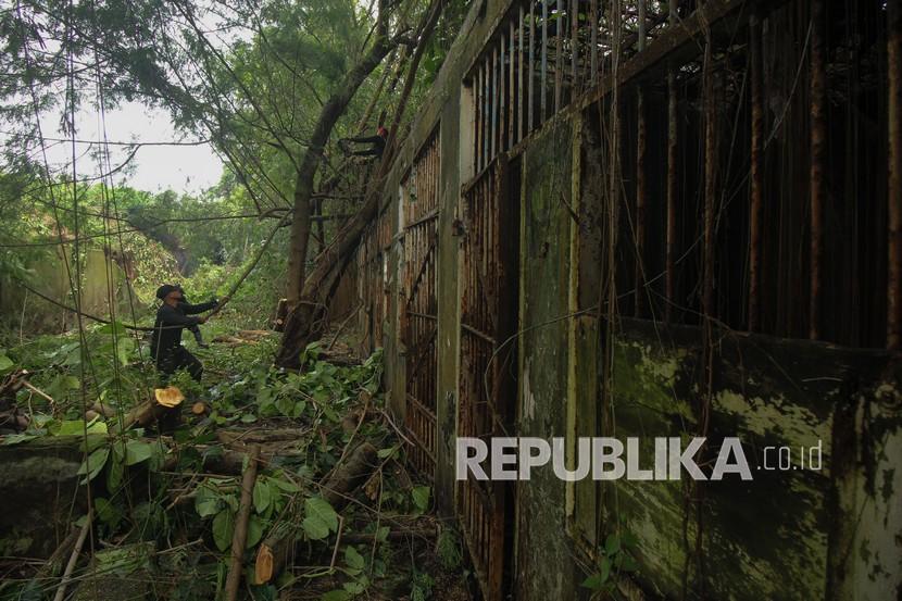 Petugas menebang pepohonan liar di komplek bekas penjara Kalisosok di Surabaya, Jawa Timur, Kamis (8/4/2021). Kegiatan itu bertujuan untuk menyelamatkan bangunan cagar budaya yang tidak terawat. 