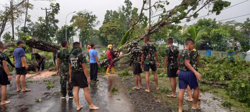 Petugas mengevakuasi pohon tumbang yang sempat menutup akses Jalan Kolonel Basyir Surya, Kota Tasikmalaya, Jumat (27/1/2023). 