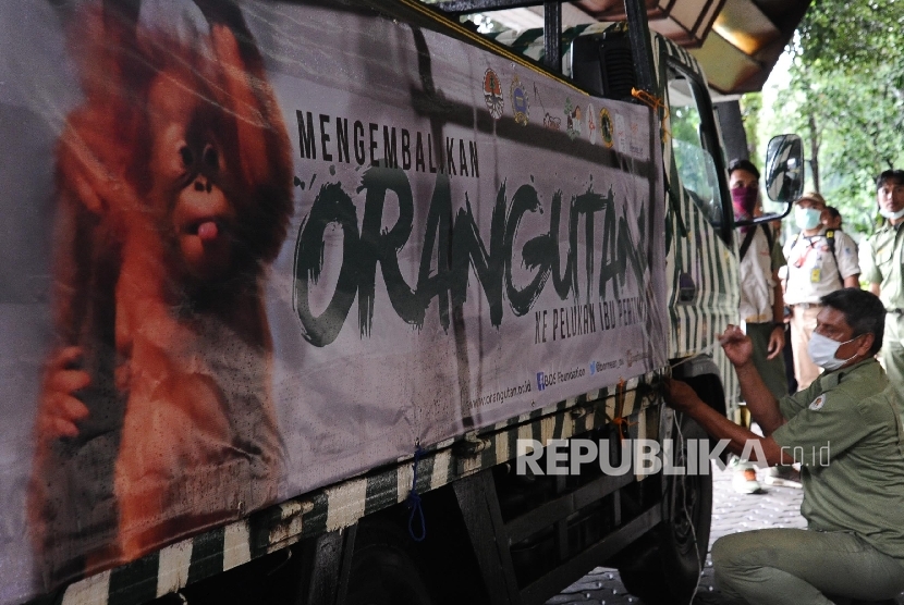  Petugas mengikat tali kendaraan berisi Orangutan saat akan dilepasliarkan dari kementerian kehutanan dan Lingkungan Hidup di Jakarta, Selasa (9/2).  (Republika/Tahta Aidilla)