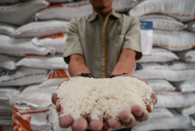 Petugas menunjukan stok beras di Gudang Bulog. ilustrasi