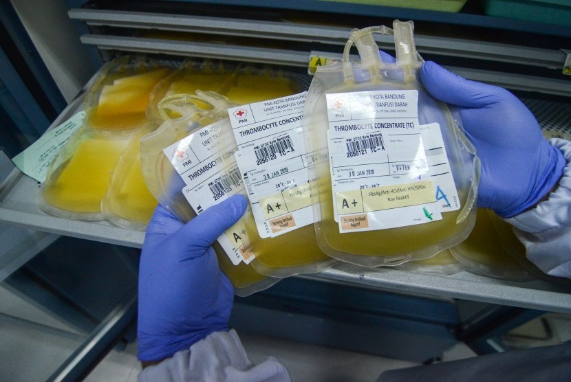 Petugas menunjukan stok trombosit di Laboratorium Unit Transfusi Darah (UTD) PMI.