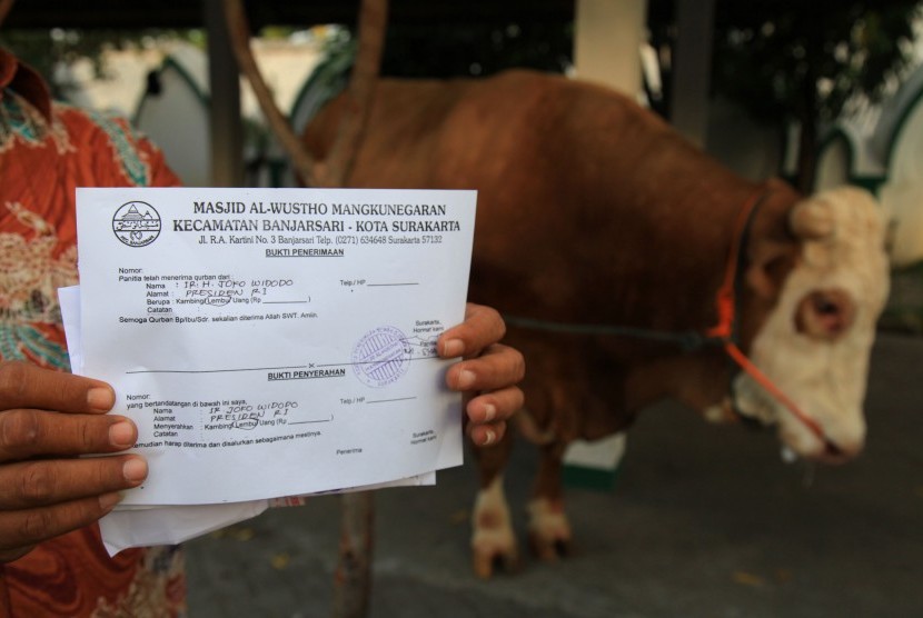 Petugas menunjukkan bukti penyerahan sapi kurban milik Presiden Joko Widodo kepada pengurus Masjid Alwustho, Mangkunengaran, Solo, Jawa Tengah, Rabu (23/9). 