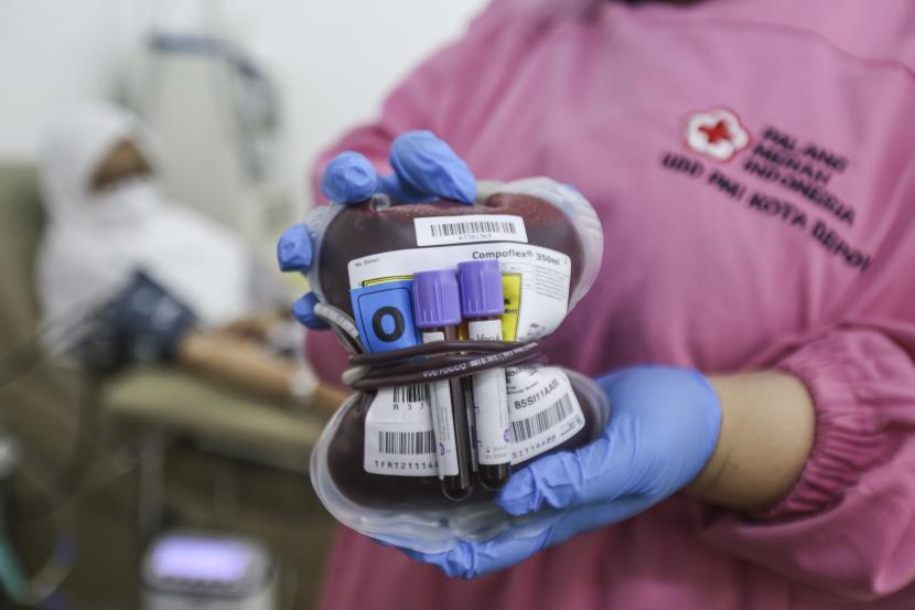 Petugas menunjukkan kantong donor darah di UTD PMI Depok, Depok, Jawa Barat, Selasa (14/6/2022). 