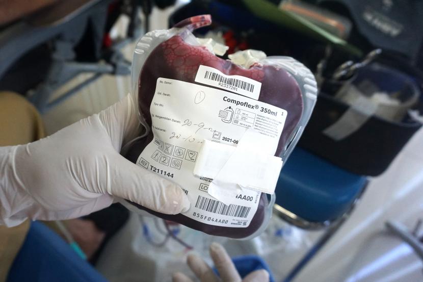 Jarak donor darah berapa bulan