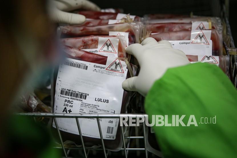 Petugas merapikan kantong darah di ruang penyimpanan darah di Kantor PMI (ilustrasi)
