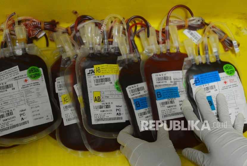  Petugas merapikan labu darah dari pendonor di Kantor Palang Merah Indonesia DKI Jakarta, Rabu (27/1). (Republika/Raisan Al Farisi)