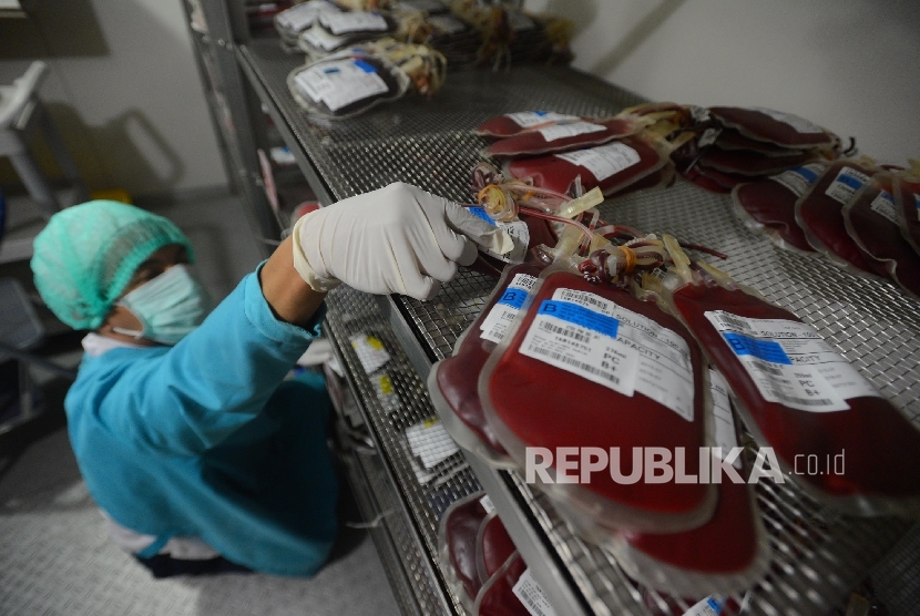 Petugas merapikan labu darah dari pendonor di Kantor Palang Merah Indonesia