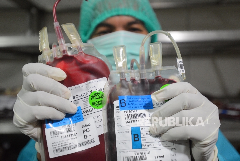 Petugas merapikan labu darah dari pendonor di kantor PMI (ilustrasi) 