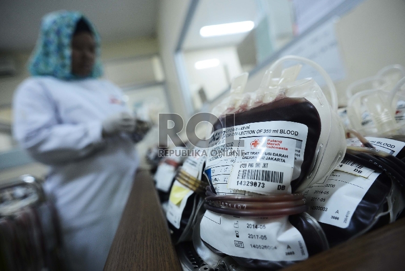  Petugas Palang Merah Indonesia (PMI) menyusun kantong darah di ruangan pendingin kantor PMI (ilustrasi)