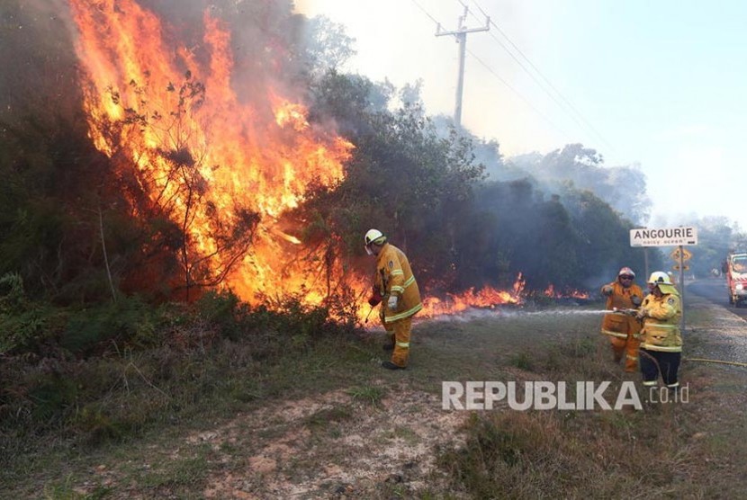 Petugas pemadam berusaha menjinakkan api di Angourie, New South Wales, Australia, Selasa (10/9)