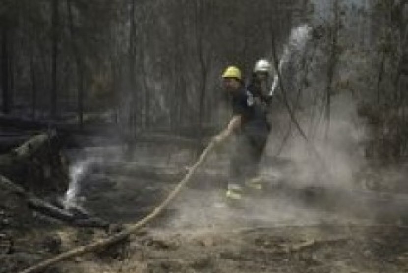 Petugas pemadam kebakaran bekerja keras mengatasi kobaran api