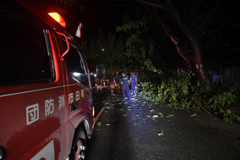 Pohon tumbang akibat cuaca ekstrem menutup badan jalan hingga menimpa rumah warga. Ilustrasi.