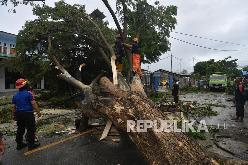 Petugas memotong pohon tumbang di jalanan karena terempas angin kencang (ilustrasi).