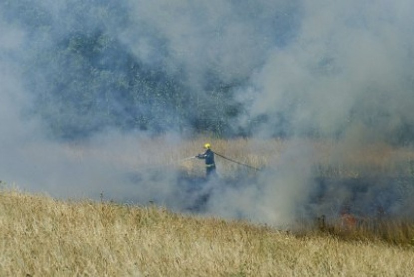 Petugas pemadam kebakaran di Inggris berupaya mengatasi kebakaran semak. Gelombang panas membuat rumput dan semak kering mudah terbakar.
