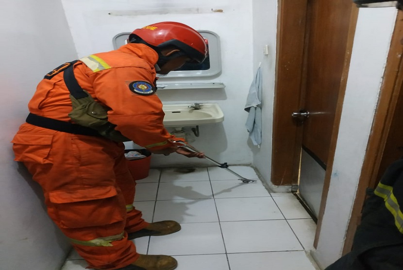 Petugas pemadam kebakaran Kabupaten Bandung mengevakuasi ulang jenis weling dari rumah warga