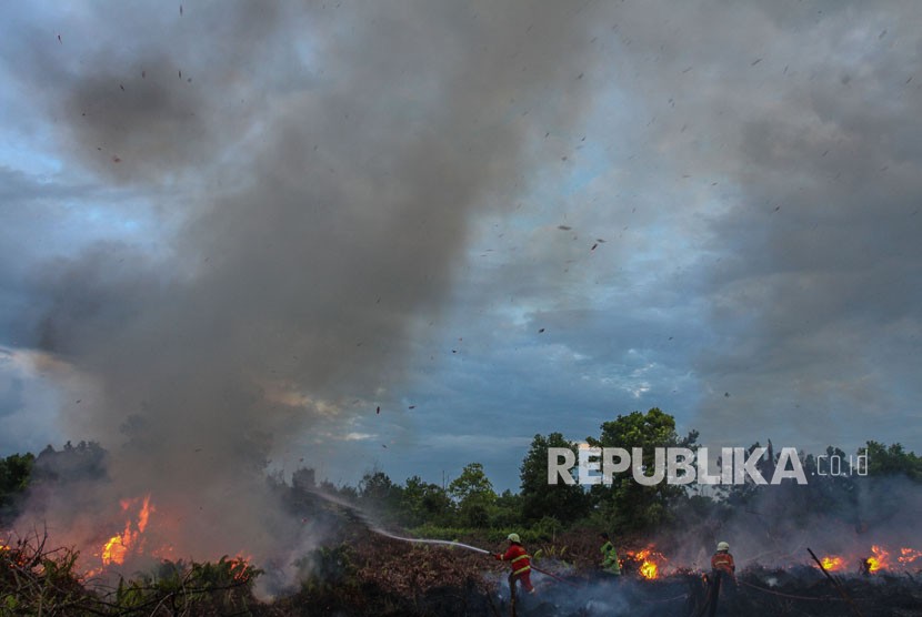 Petugas Pemadam Kebakaran Kota Pekanbaru berusaha memadamkan api yang membakar semak belukar di lahan gambut di Pekanbaru, Riau, Senin (14/5).