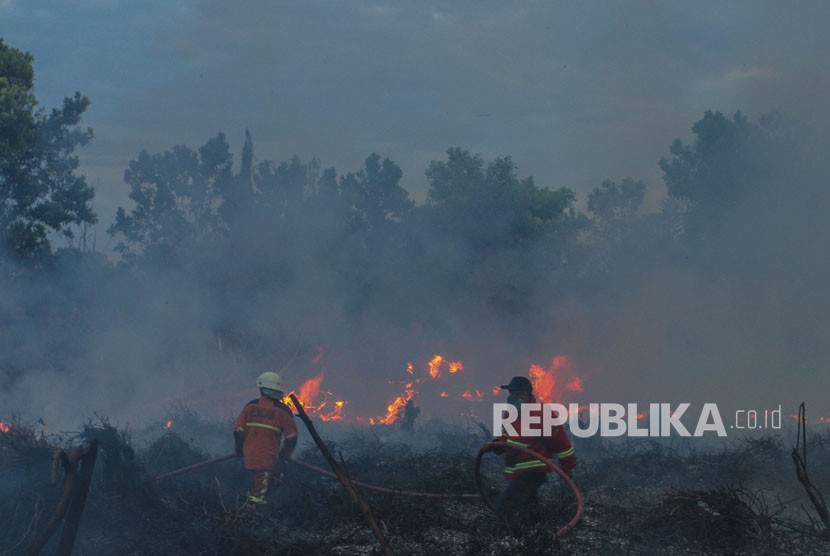 Petugas Pemadam Kebakaran Kota Pekanbaru berusaha memadamkan api yang membakar semak belukar di lahan gambut.