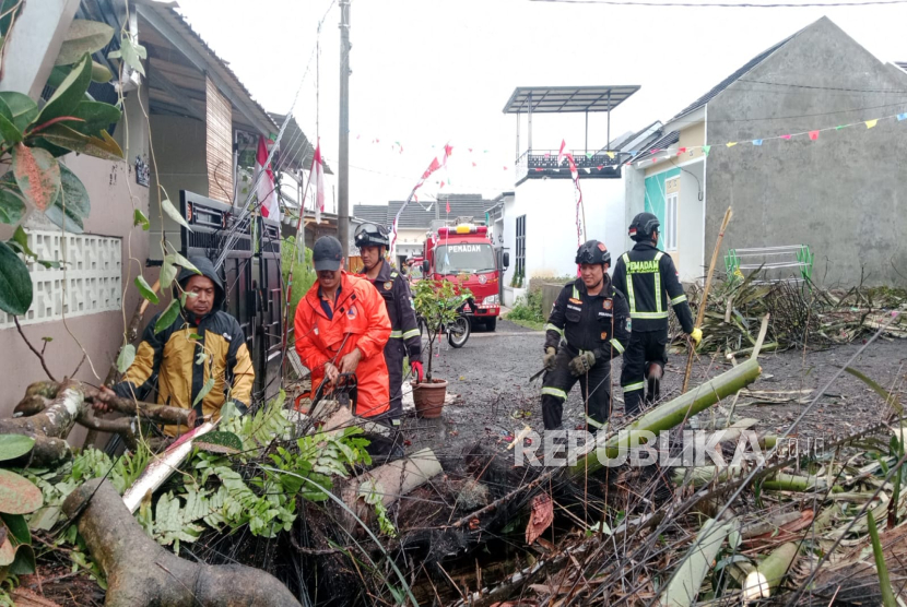 Petugas pemadam kebakaran melakukan evakuasi pohon tumbang yang menimpa rumah warga di Perum Grand Amelia di Desa Gereba, Kecamatan Kramatmulya, Kabupaten Kuningan, Selasa (19/8/2025). 