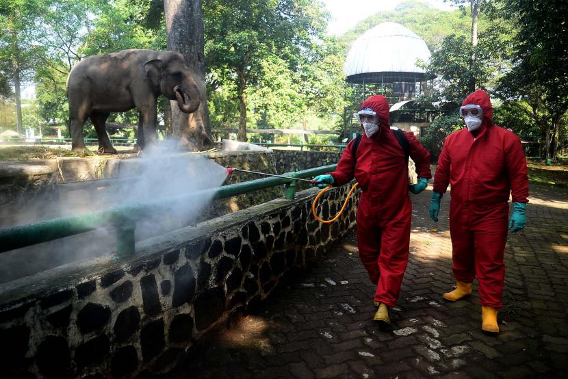 Petugas pemadam kebakaran melakukan penyemprotan disinfektan di Kawasan Taman Margasatwa Ragunan, Jakarta.