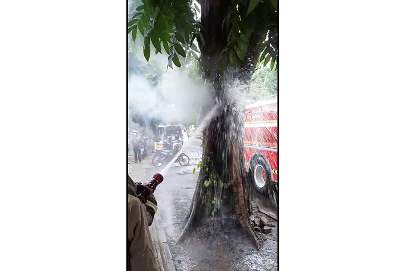 Petugas pemadam kebakaran sedang menyemprotkan air ke pohon angsana yang mengeluarkan asap di i Jalan Citarum, Kota Bandung, Selasa (1/12).