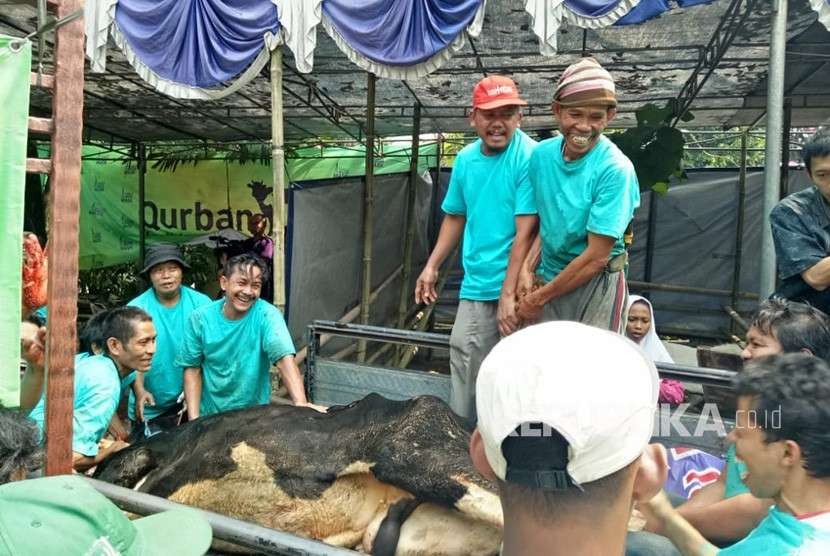 Petugas pemotongan hewan kurban di Masjid Agung Sunda Kelapa, Jakarta Pusat