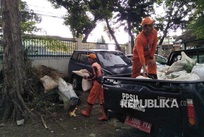 Petugas Penanganan Prasarana dan Sarana Umum (PPSU) Jatipadang sedang membersihkan sampah dedaunan dan ranting yang ada di Jalan Raya Ragunan, Jumat (17/11). 