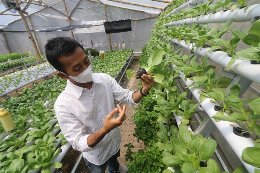 Menteri Pertanian Syahrul Yasin Limpo meminta para penyuluh pertanian yang telah berstatus Pegawai Pemerintah dengan Perjanjian Kerja (PPPK) untuk beradaptasi dengan kemajuan teknologi.