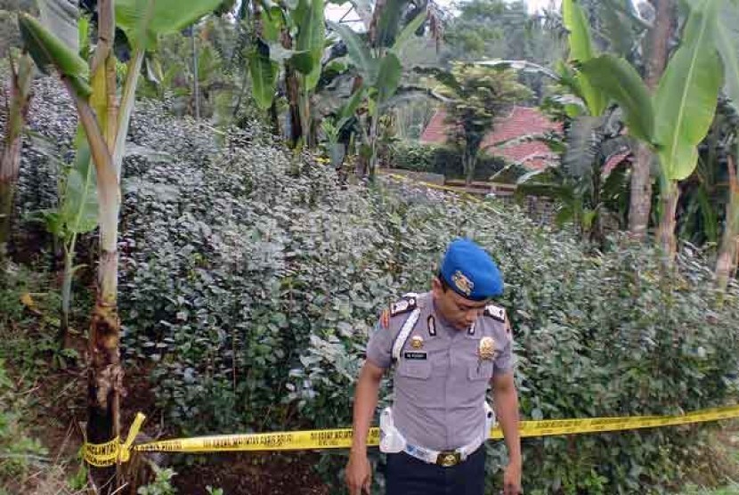 Petugas Polsek Cisarua berjaga di depan ladang khat (cathinone) milik warga di kampung Pasir, Cisarua, Bogor, Jabar, Selasa (5/2). 