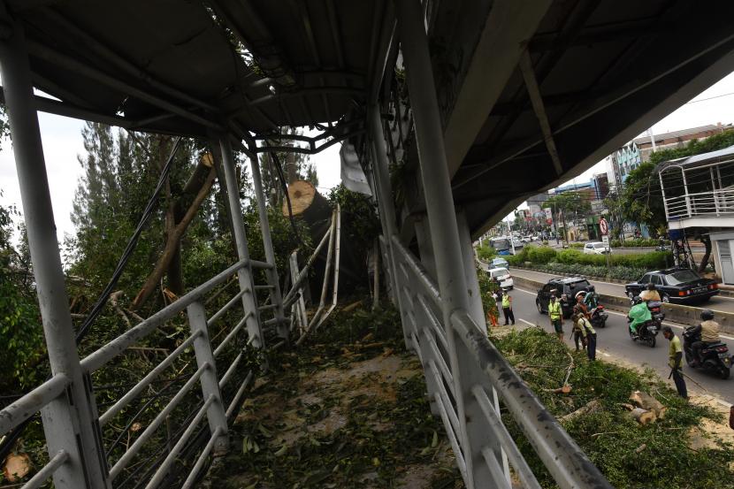 Petugas PPSU dan Sudin Pertamanan Jakarta Timur mengevakuasi pohon tumbang yang menimpa JPO Gelanggang Olahraga di Jalan Otista Raya, Jatinegara, Jakarta Timur, Selasa (9/11/2021). 