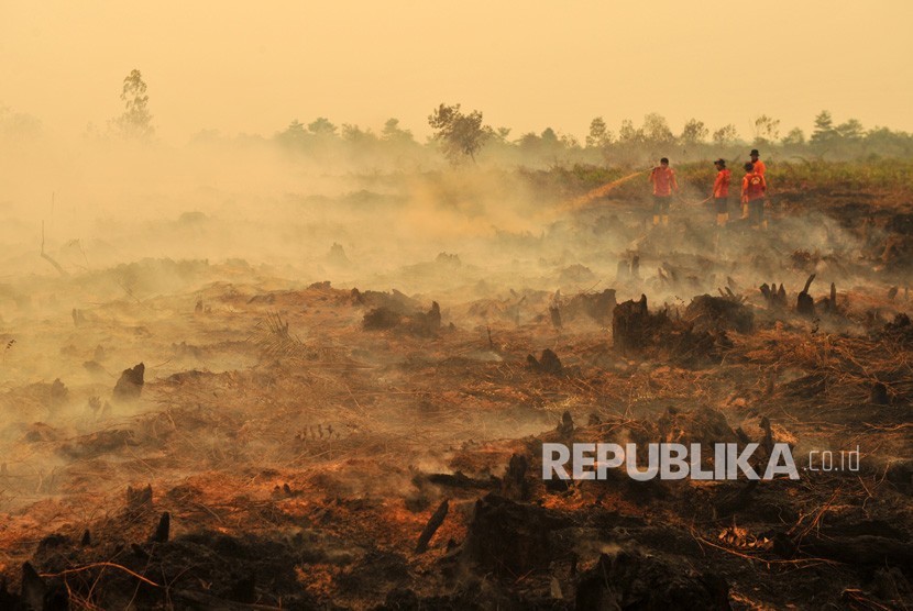 Petugas SAR Direktorat Sabhara Polda Jambi memadamkan kebakaran lahan gambut milik salah satu perusahaan di Puding, Kumpeh Ilir, Muarojambi, Jambi, Rabu (11/9/2019). 