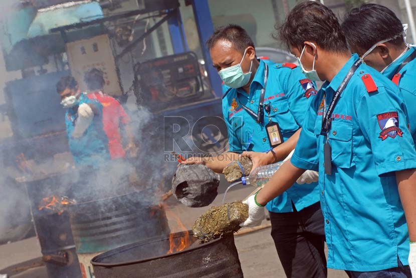   Petugas Satuan Narkoba Polres Metro Jakarta Selatan memusnahkan barang bukti narkotika jenis ganja di halaman Polres Metro Jakarta Selatan, Jumat (15/2).  (Republika/Agung Fatma Putra) 