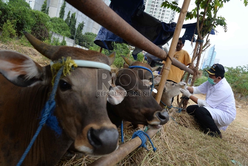 Petugas Suku Dinas Pertanian dan Peternakan Jakarta Pusat melakukan pemeriksaan kesehatan hewan kurban di kawasan Tanah Abang, Kamis (10/9).  (Republika/Yasin Habibi)