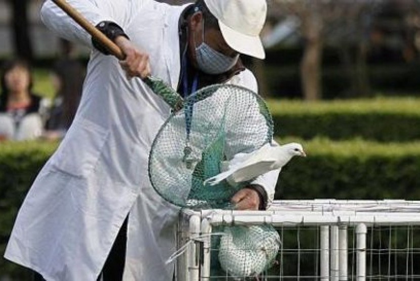 Petugas taman menangkapi burung-burung merpati di taman-taman Shanghai, China. Jumlah warga China yang terinfeksi flu burung meningkat tahun ini. Ilustrasi. 