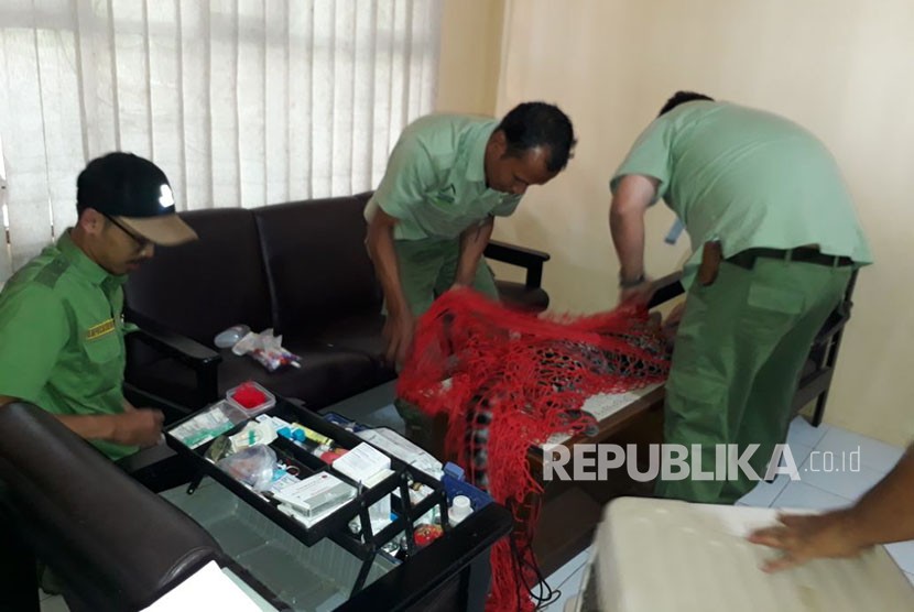 Petugas tengah memeriksa kondisi kesehatan macan tutul yang berhasil dievakuasi dari kolong rumah warga di Kampung Perbawati/Desa Perbawati Kecamatan/Kabupaten Sukabumi Kamis (17/5).