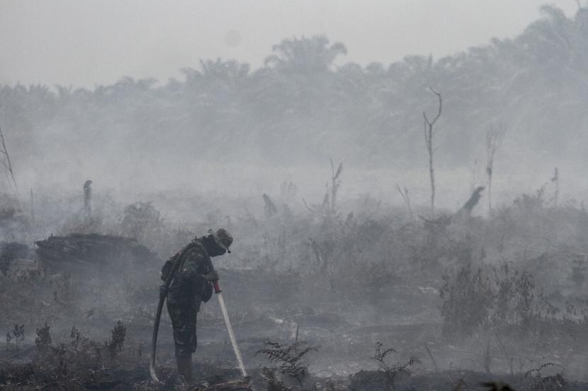 Badan Penanggulangan Bencana Daerah (BPBD) Riau menyebutkan jumlah titik api kebakaran hutan dan lahan (karhutla) di provinsi itu menunjukkan penurunan. 