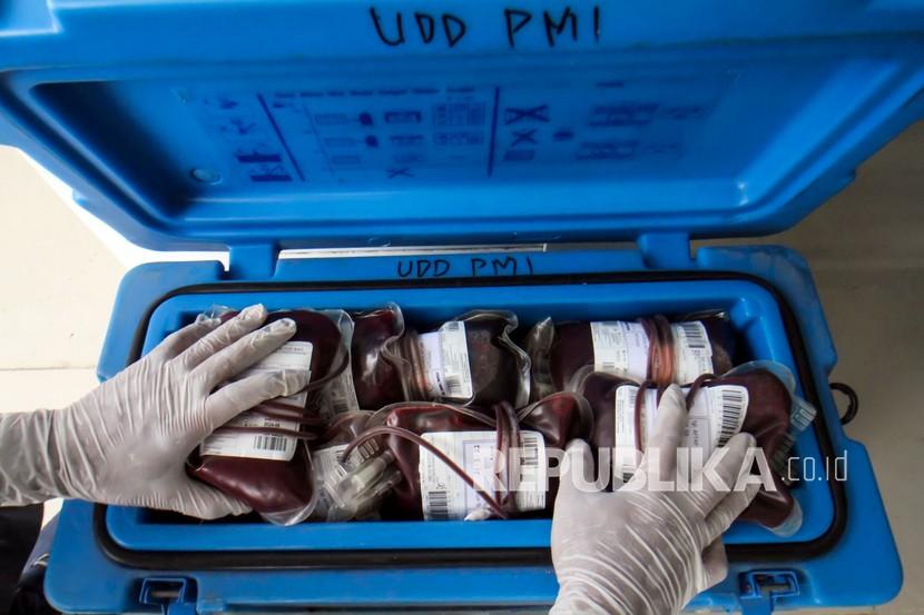Petugas Unit Donor Darah (UDD) Palang Merah Indonesia (PMI) menata kantong berisi darah pendonor ke dalam kotak pendingin (ilustrasi)
