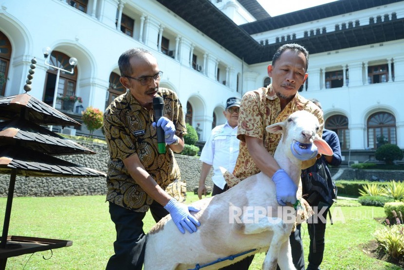 Petugas UPTD Balai Kesehatan Hewan dan Kesehatan Masyarakat Veteriner menjelaskan cara memeriksa kelayakan dan kesehatan hewan kurban pada acara Jabar Punya Informasi (Japri), di Gedung Sate, Kota Bandung, Kamis (1/8). Simulasi tersebut bertujuan untuk 
