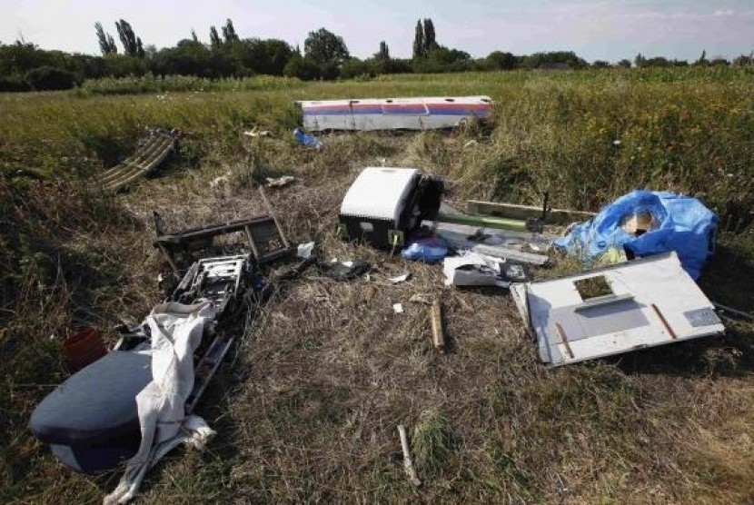 Pieces of the wreckage are seen at a crash site of the Malaysia Airlines Flight MH17 near the village of Petropavlivka (Petropavlovka), Donetsk region July 24, 2014.