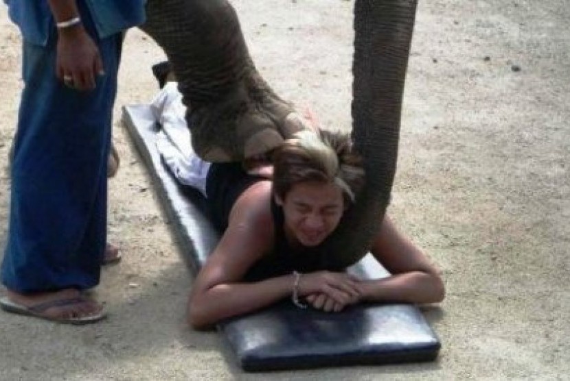 Pijat gajah di Thailand