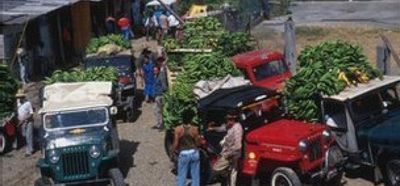 Pisang adalah industri perkebunan besar di Kolombia.