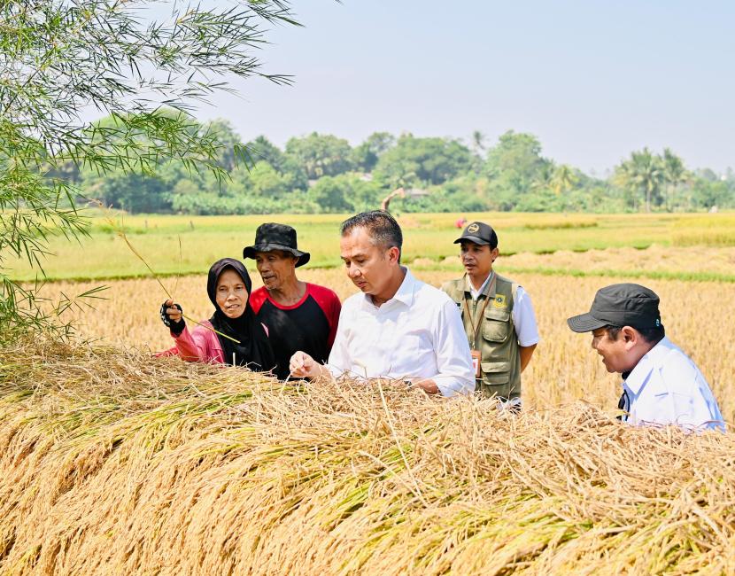 Pj Gubernur Jabar Bey Machmudin menyerap aspirasi petani dan meninjau situasi di lapangan di Desa Tegal Panjang, Kecamatan Cariu, Kabupaten Bogor saat kunjungan kerja, Rabu (31/7/2024).  